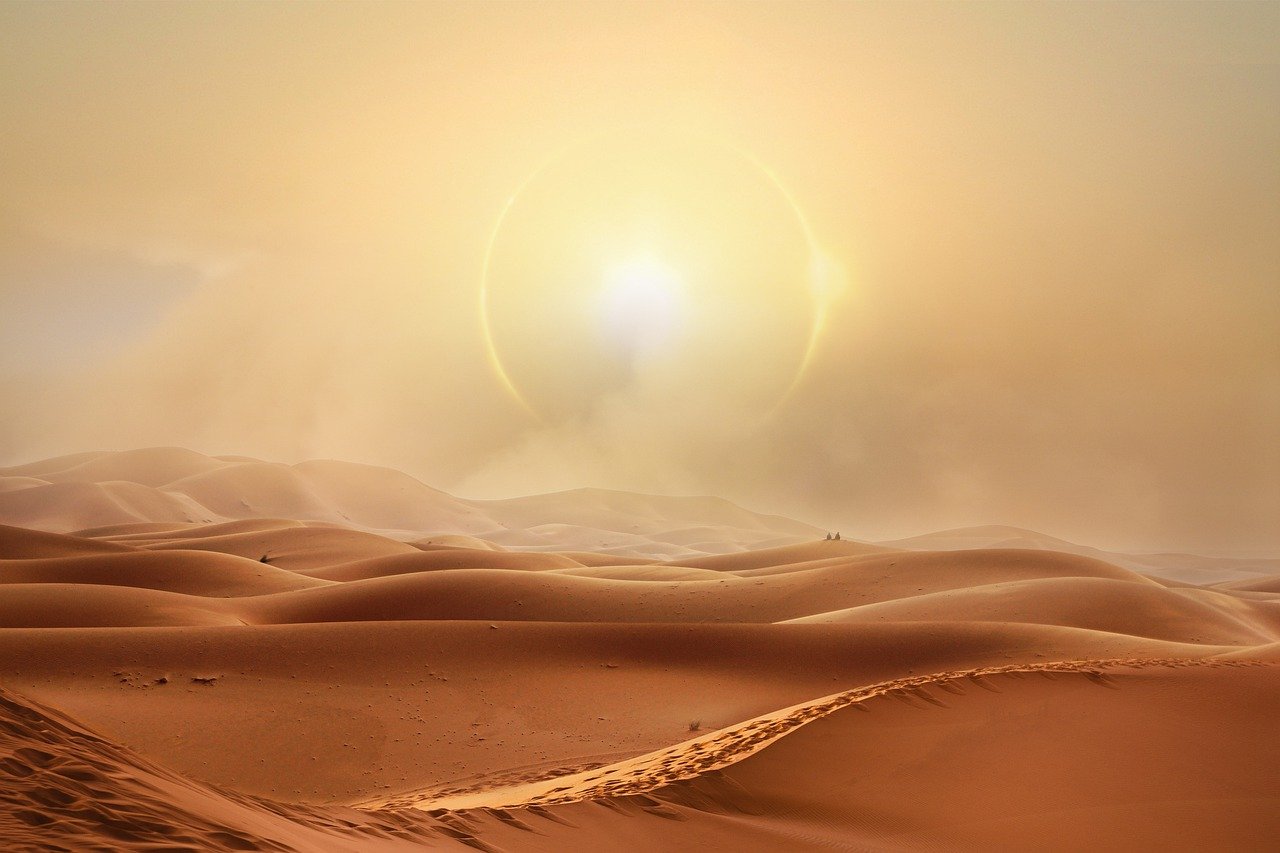 pixabay-image-7796113